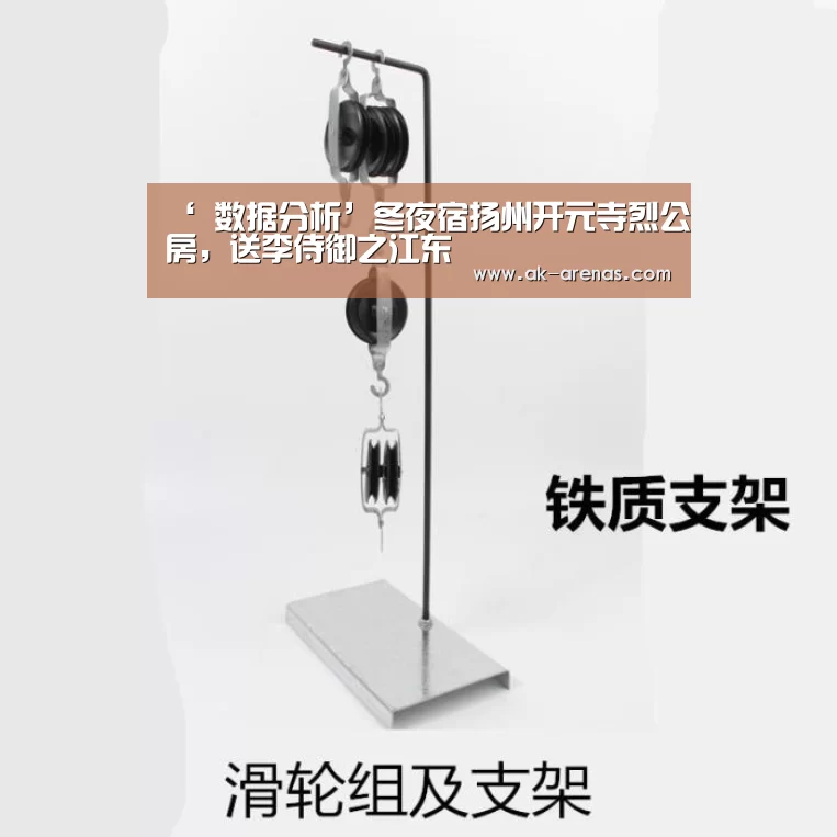  数据分析