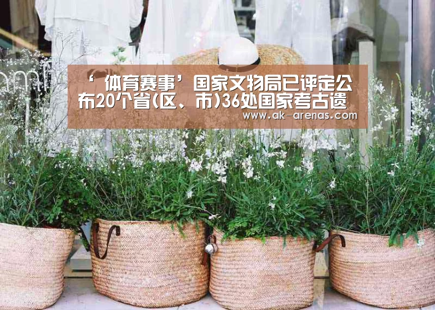  体育资讯